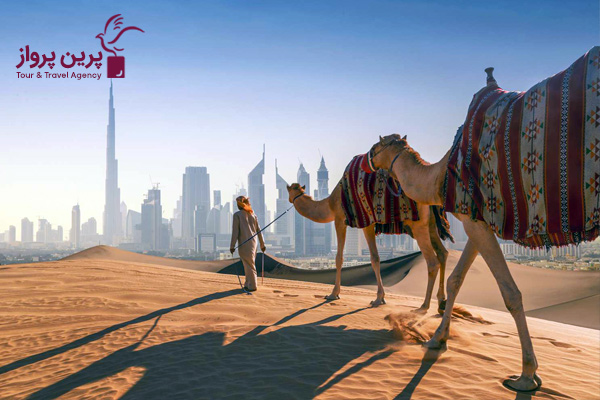 سافاری شتر سواری در امارات